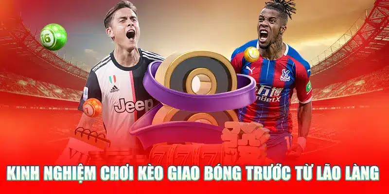 Kinh nghiệm soi kèo giao bóng từ chuyên gia tại Nohu90