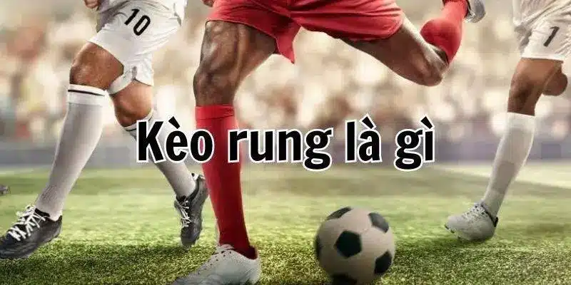 Tổng quan chi tiết về kèo rung tại nohu90 (convert.io)